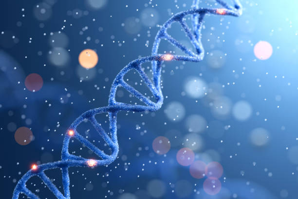 longevity peptides