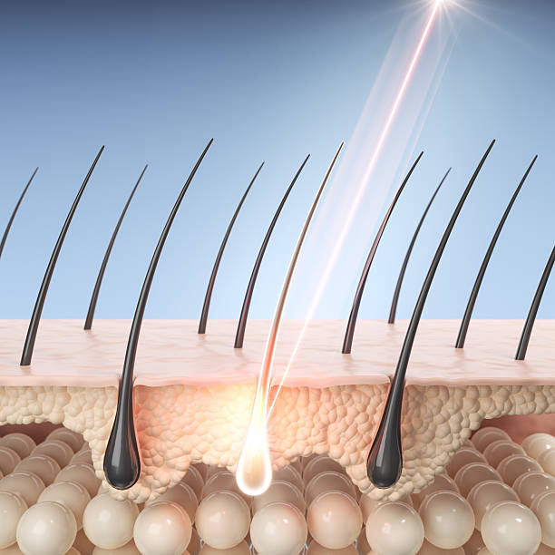 Skin and Hair Peptides